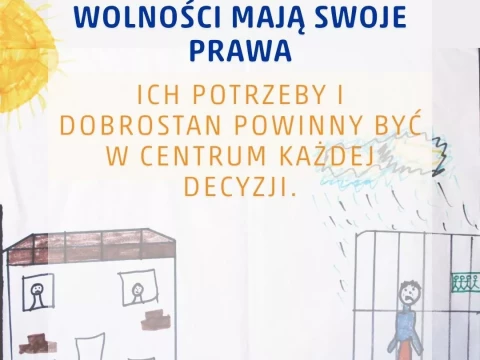 Child Trust - o prawach dzieci